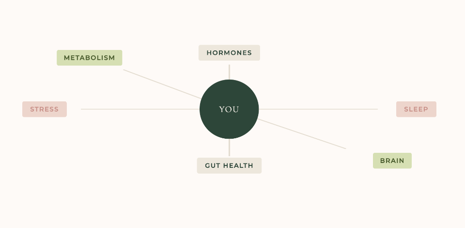 Clinical diagram illustrating how hormones, gut health, sleep, stress, and metabolism are interconnected — the foundation of a functional medicine approach to root-cause care