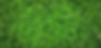 leaves-1498985_1920_edited.jpg