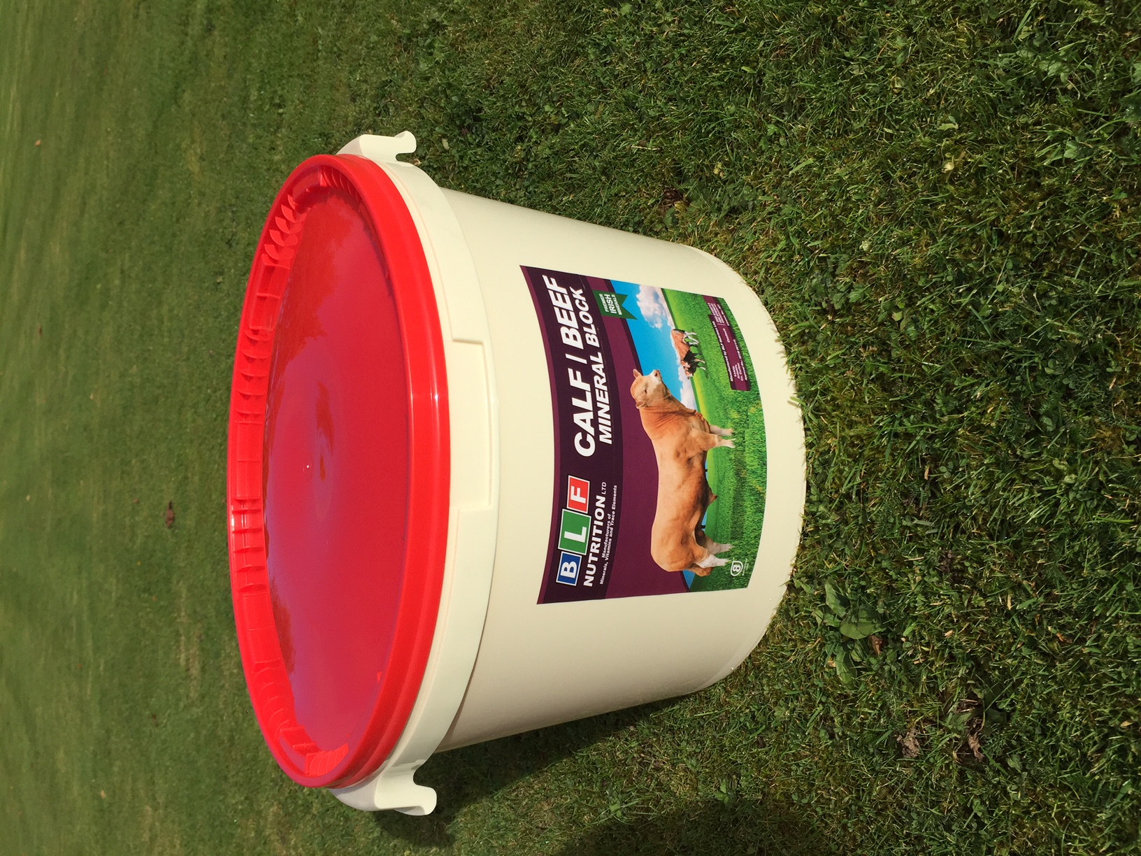 CalfBeef blfnutrition