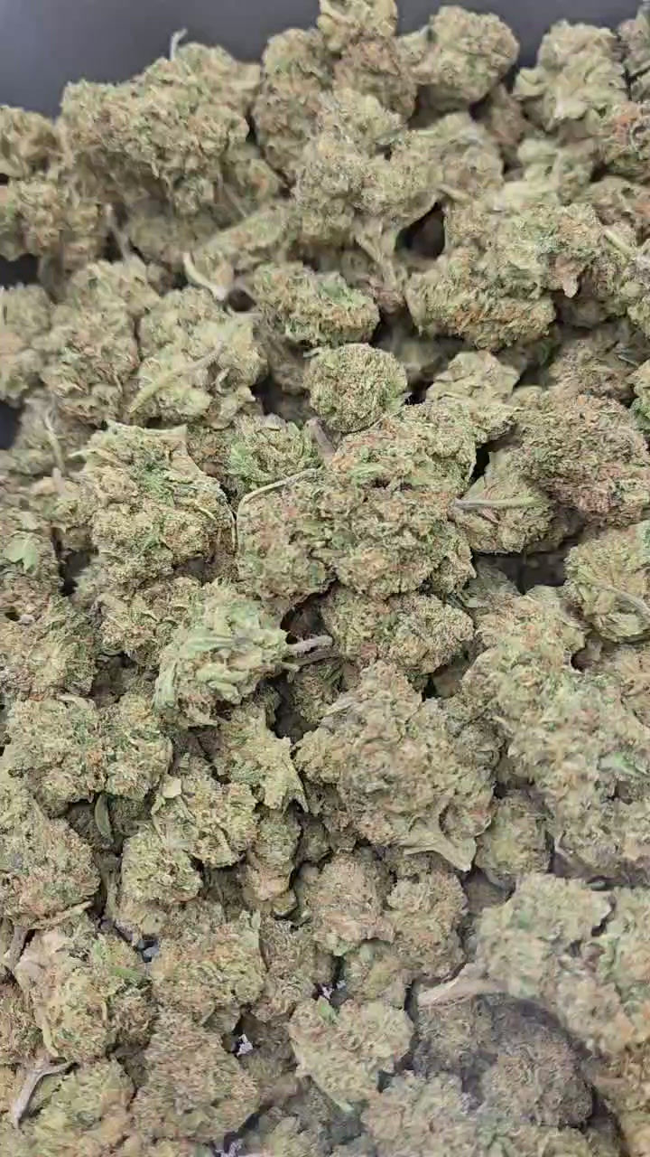 Thumbnail: Hollywood AAAA (Hybrid)