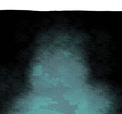 TSSSF Blank.jpg