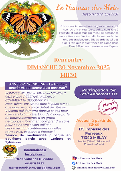 Conférence n°3 Anne Ray Wendling.png