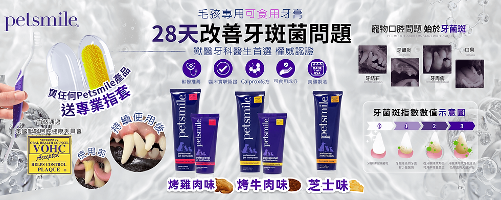 PetSmile - E banner (2400 x 960 像素).png