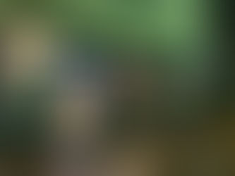 Munkkiniemi julkisivu illalla