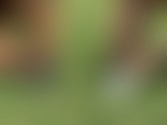 疲労による脚の重さの正体は何か、知っていますか?