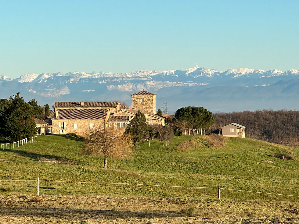 IMG_0306.jpg