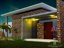 agave8