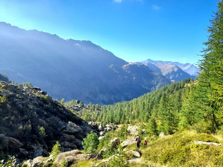 Personali similitudini fra il cammino culinario e quello spirituale..