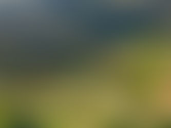 Chiedere qualcosa in cambio dalla meditazione