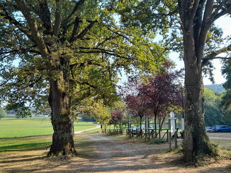 Il Latifondista Ego e le sue proprietà