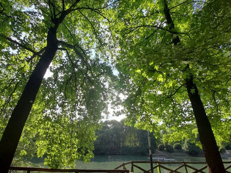 Quando la sfiducia confonde i miei passi...