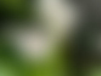 Quando ho sentito l'importanza della parola AMORE