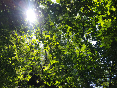 Come fate a sapere di avere una mano?