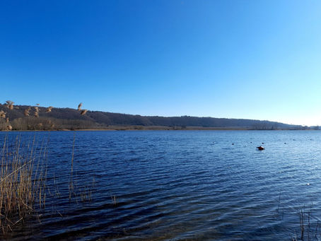 Quando posso affermare di star meditando bene?