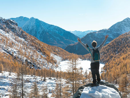 RIFLESSIONI SUL FISCHIO..