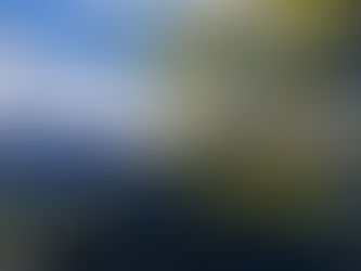 I "NON VADO BENE" DELLA MENTE...