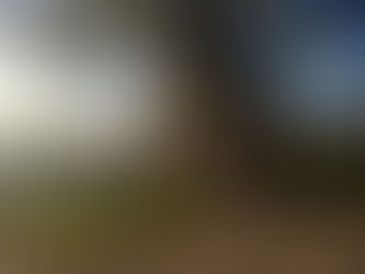 Al banco enogastronomico dei pensieri...