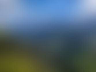 Quando soffia il vento della sfiducia