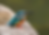 Screenshot 2025-12-11 105753.png