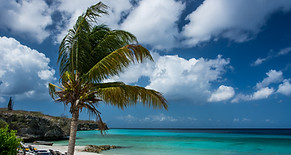 Exotic Holiday