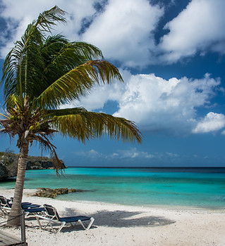 Exotic Holiday