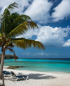 Exotic Holiday