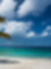 Tropical Beach Scene