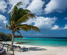 Exotic Holiday