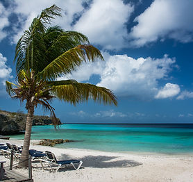 Exotic Holiday