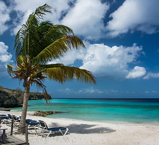Tropical Beach Scene
