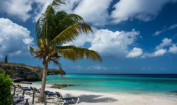 Exotic Holiday