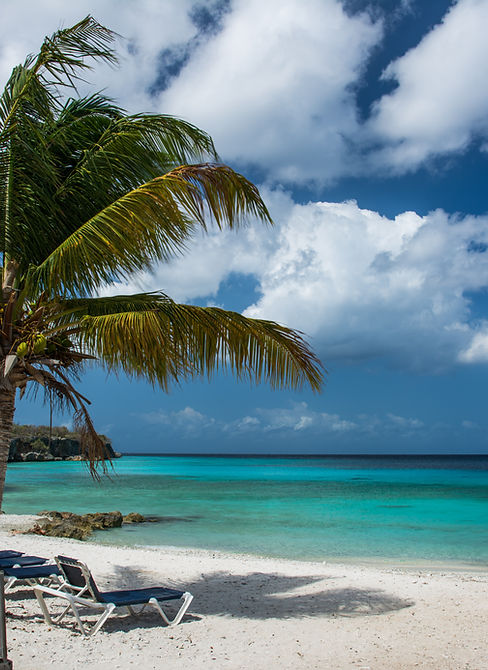 Exotic Holiday