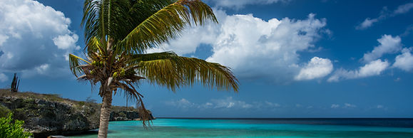 Exotic Holiday