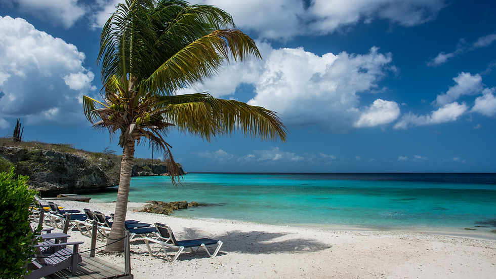 Exotic Holiday