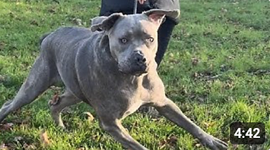 Screenshot 2024-10-11 at 15.47.02.png