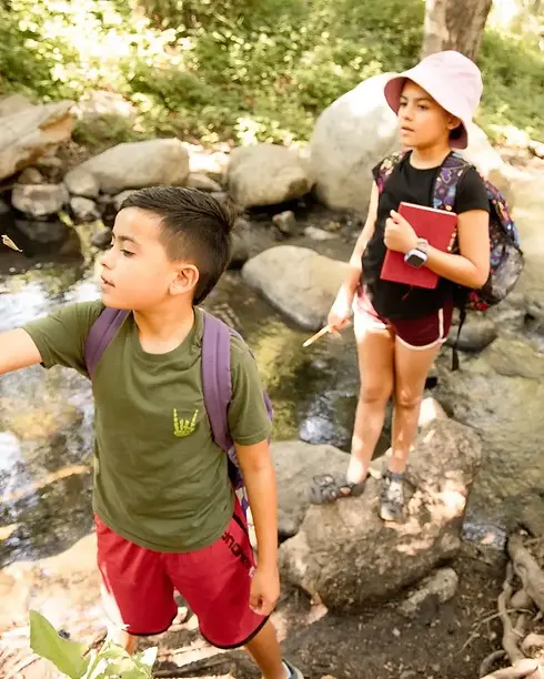 634dd23d23c084278428a4856cccbd94ab190594-2048x1366 (1).webp