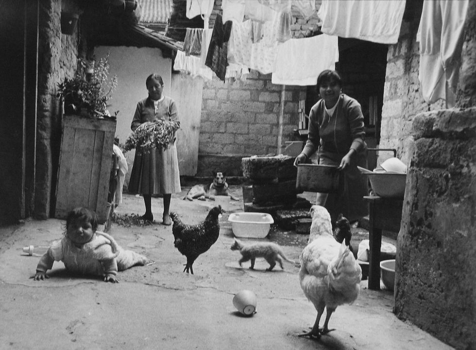 El patio de reunión, 1985