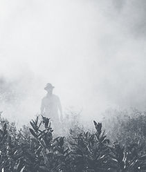 Man in Dense Fog
