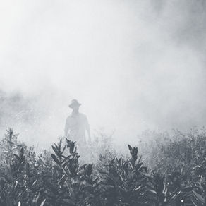 Image of a man walking through the fog that represents the mental fog of post stroke challenges.