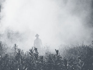 לֹא יִמְחֲקוּ אוֹתְךָ