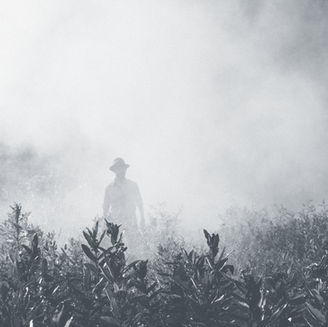 ANTITRUST SMOKE SCREENS