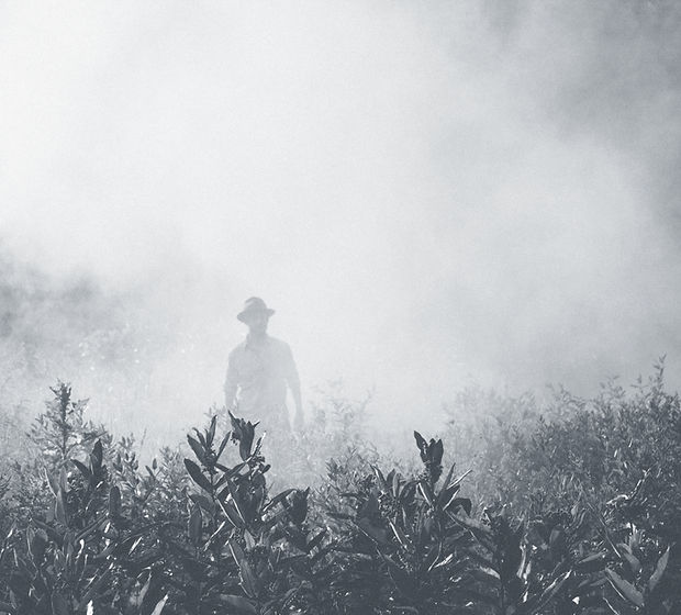 Man in a Field