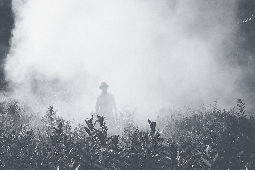 Hombre en densa niebla