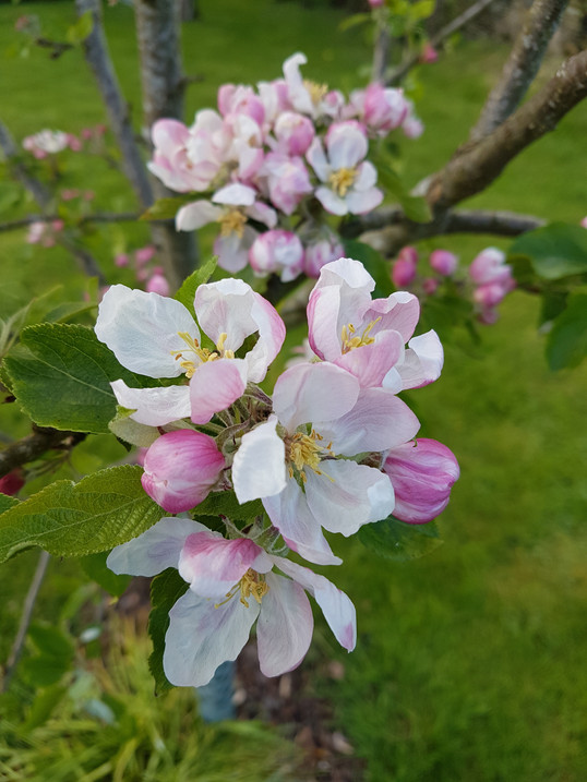 20170502_174453.jpg