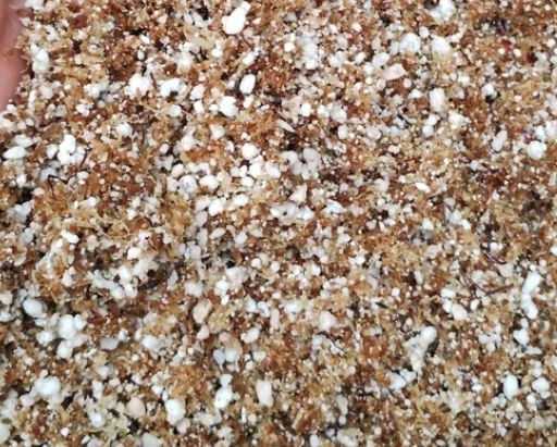 Bolsa Mezcla Musgo sphagnum Molido + Perlita