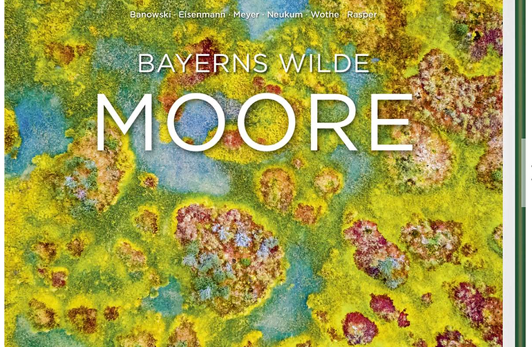 Bildschirmfoto 2025-09-24 um 6.33.33 PM.png