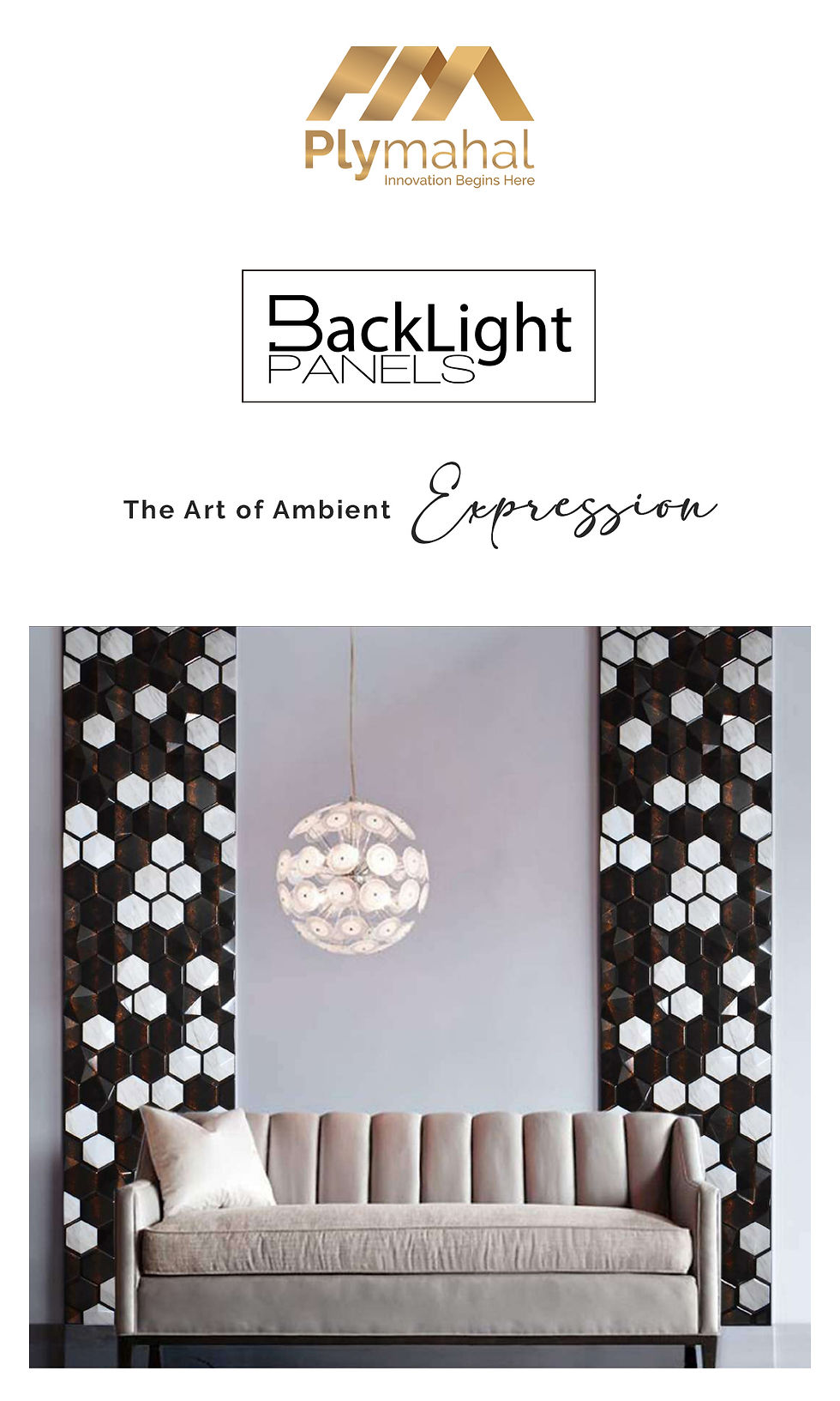 meridian backlight dec 2020 (2)_page-0000 copy 2.jpg