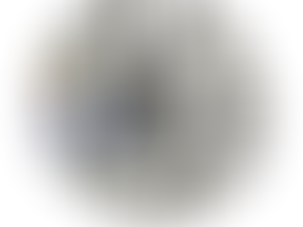 “MC120 / DS 250: El pequeño disco que garantiza grandes muros”