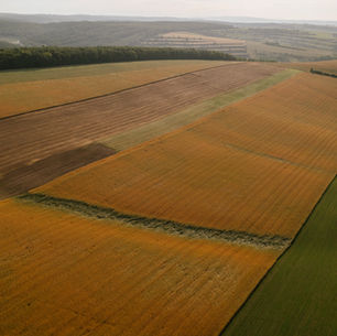 Snižování rizika vzniku eroze pomocí celoročního pokryvu půdy