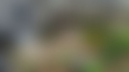 From Vision to Reality: A Flagstone Walkway & Patio Transformation